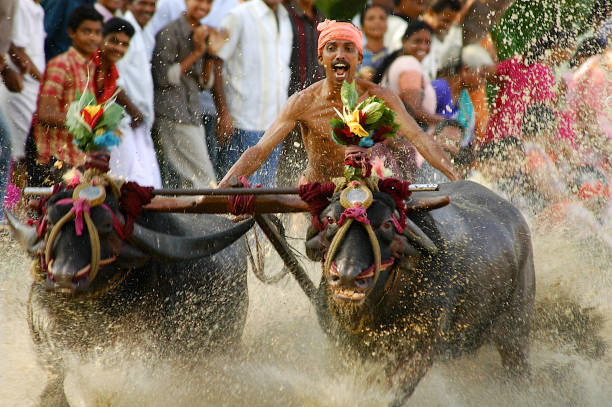 Bhoota Kola